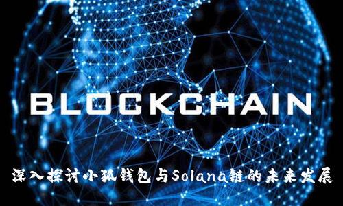 深入探讨小狐钱包与Solana链的未来发展